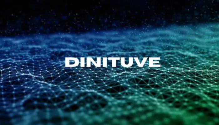 Dinituve: Understanding the Emerging Framework of Digital Intuition Innovation and Adaptive Intelligence